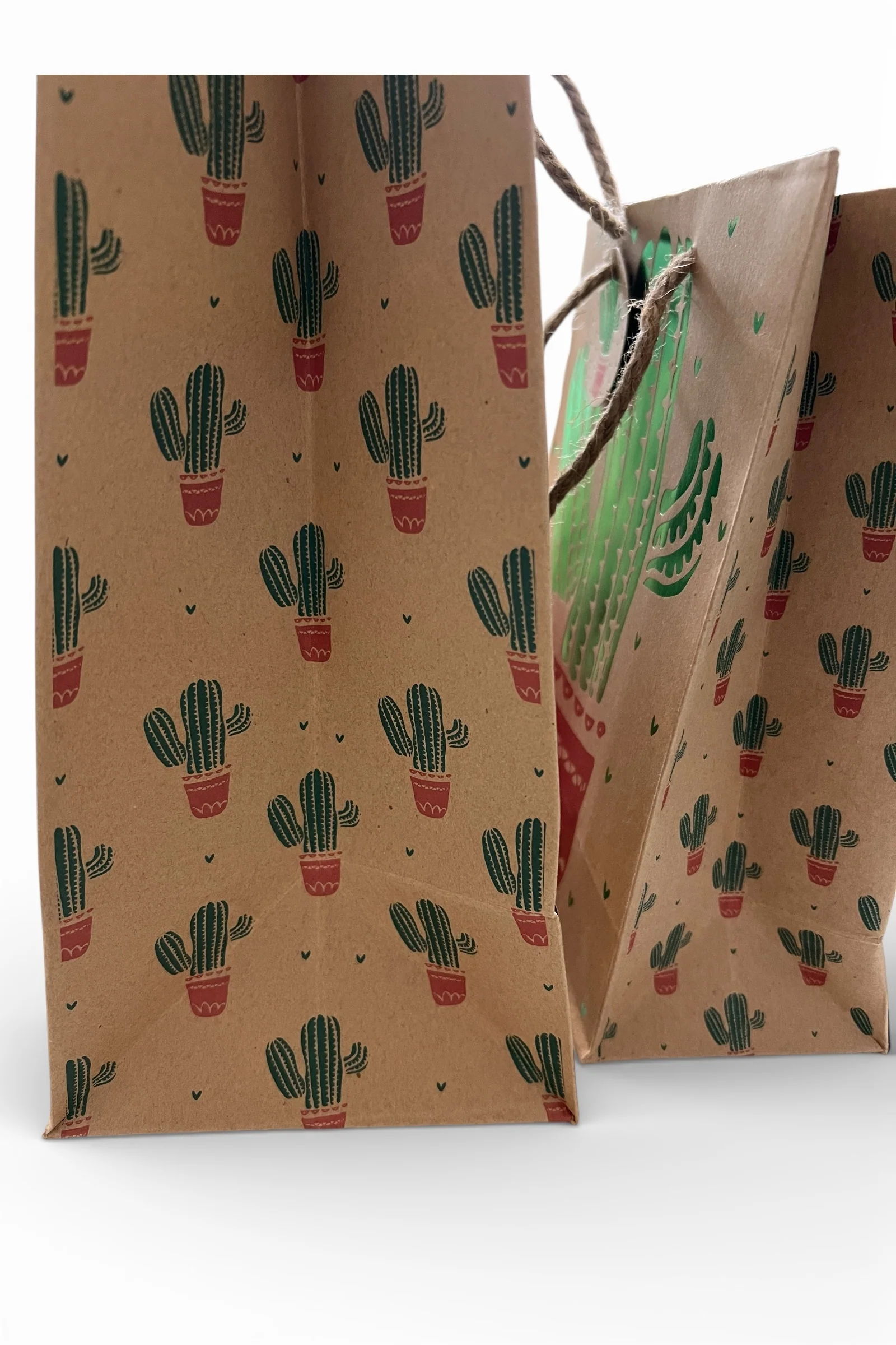 2 Cactus Gift Bags - Image 3