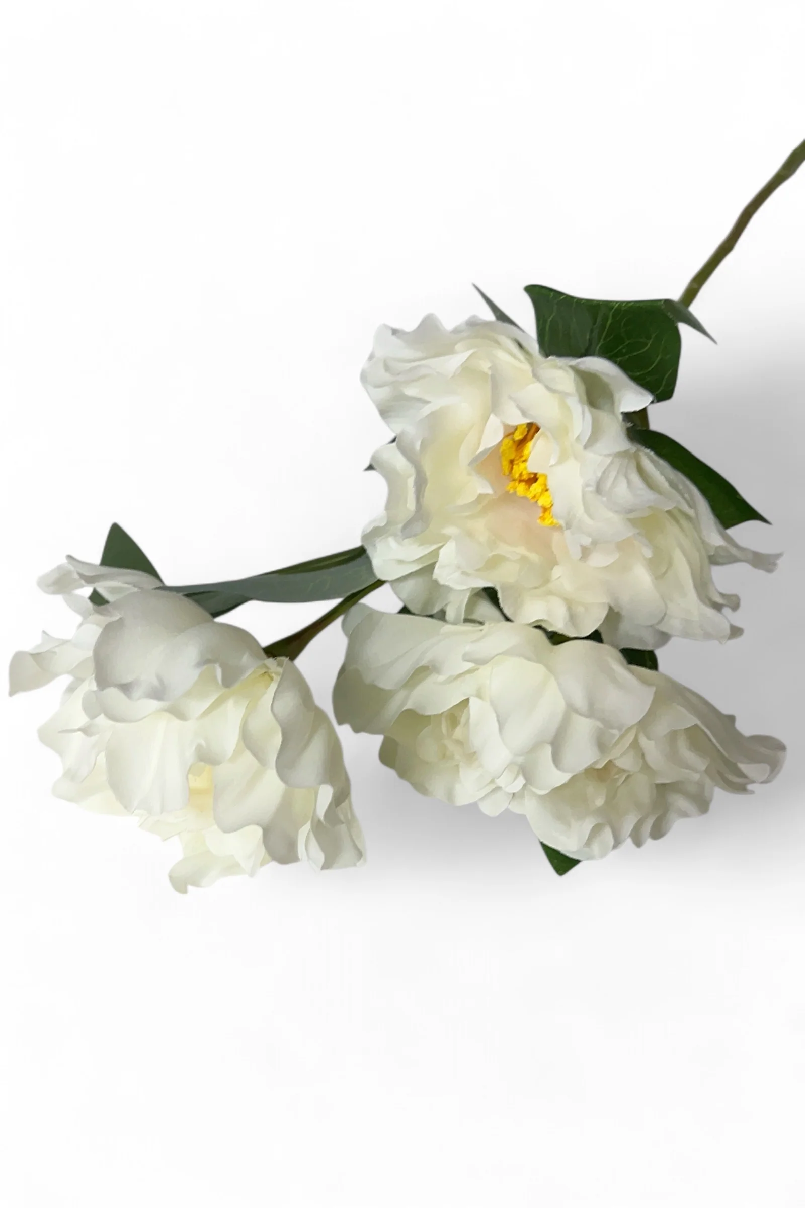 3 Head White Rose Stem - Image 2
