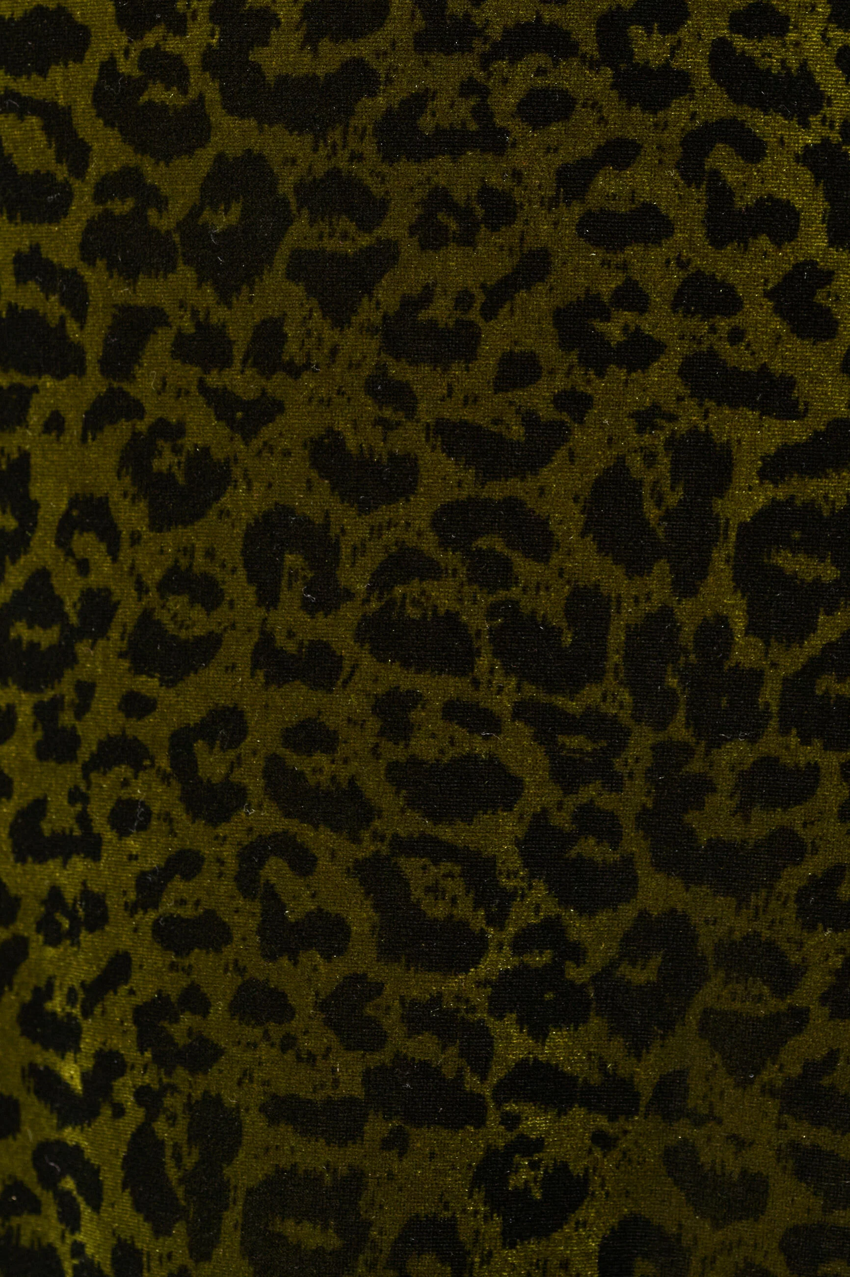 Ambrose Velvet Roar Midi Dress - Kiwi - Image 5