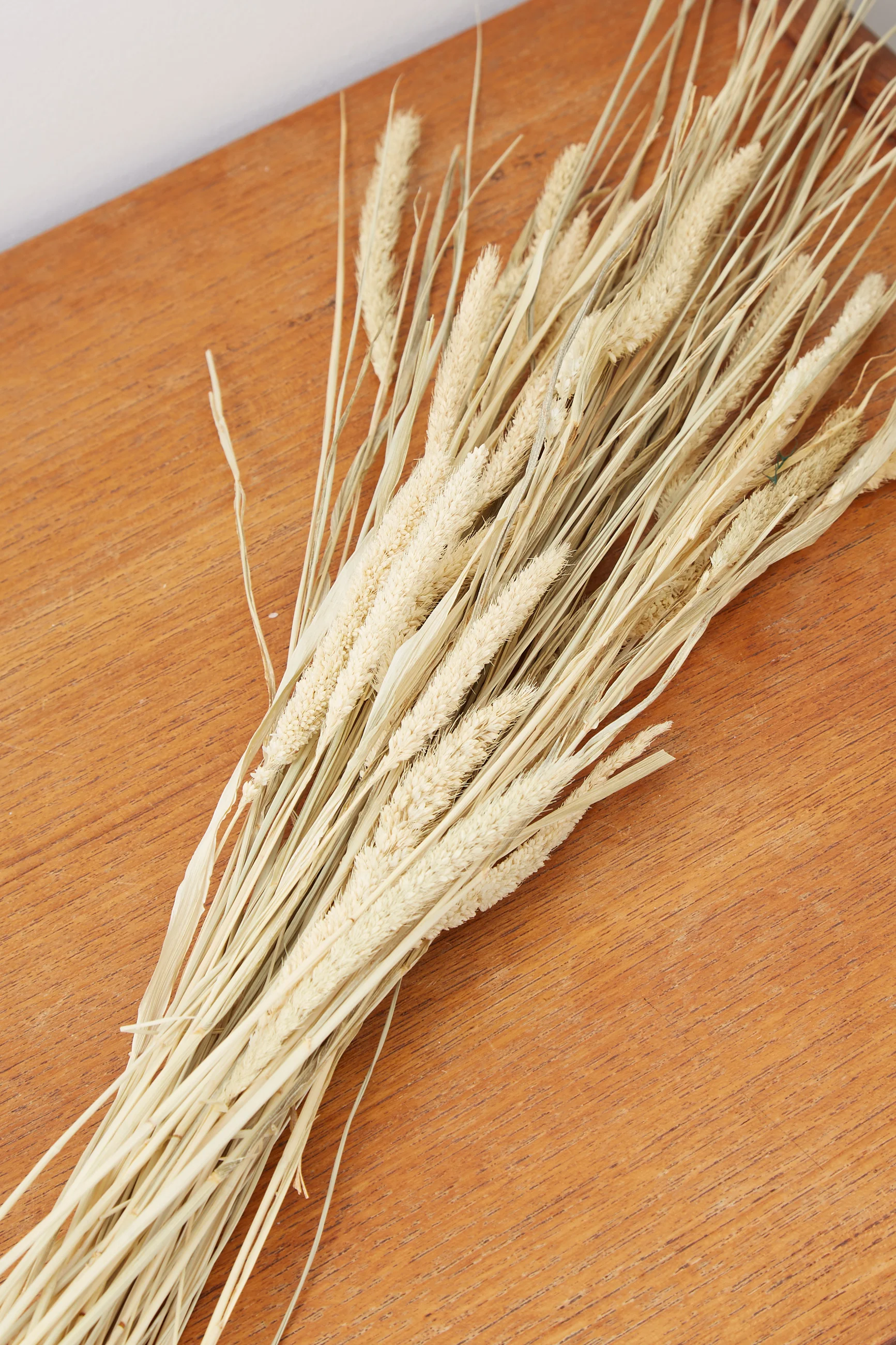 Dried Cats Tail Grass - Image 4