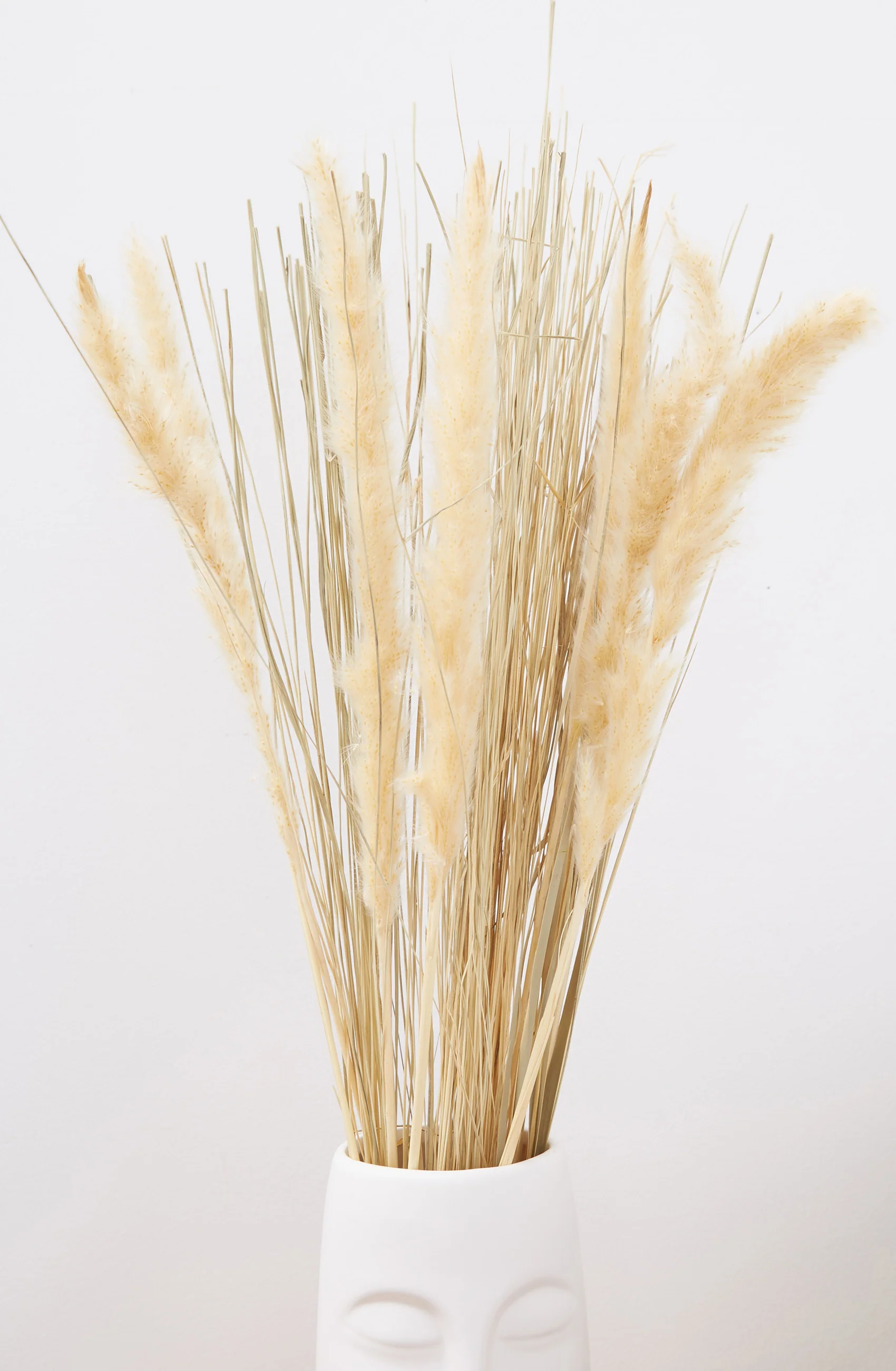 Dried Satin Tail Grass - Image 2