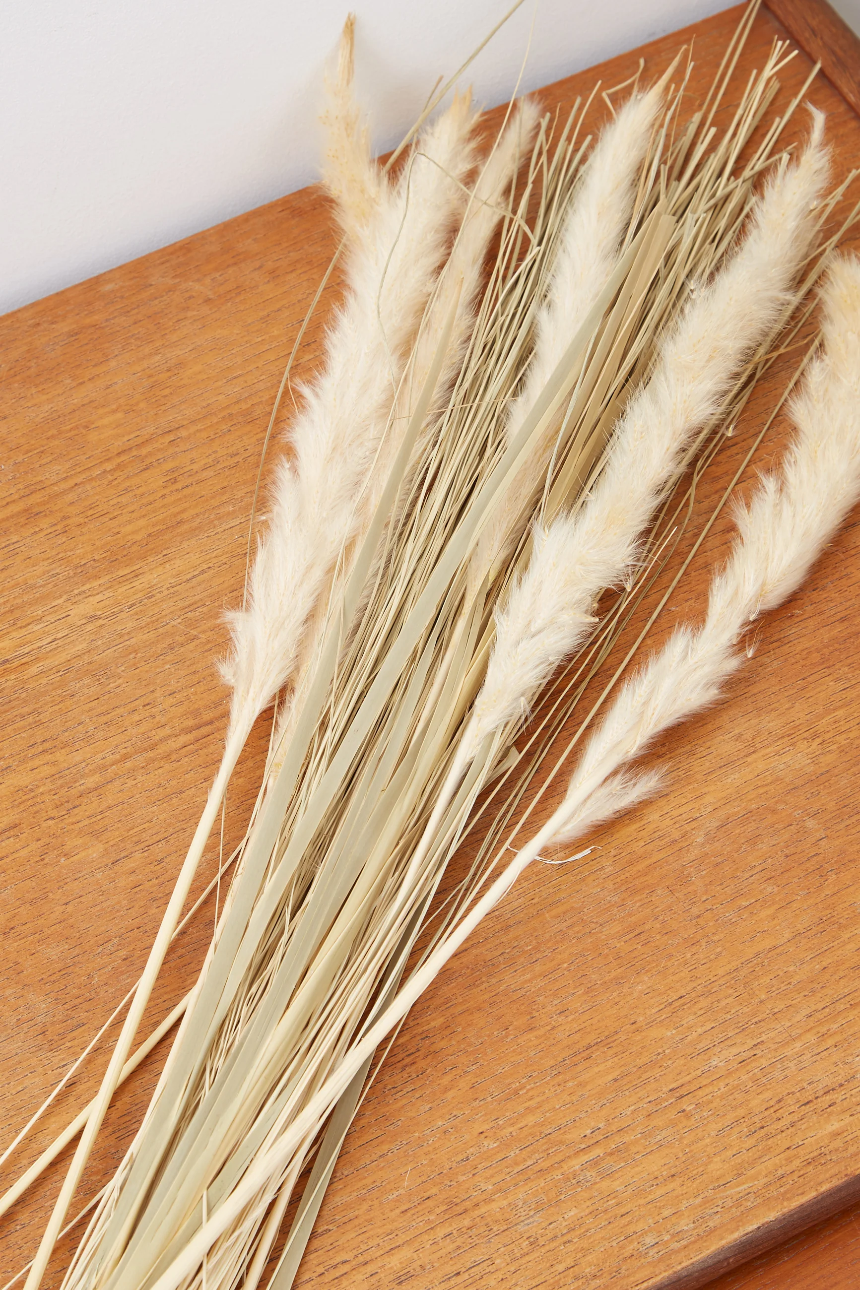 Dried Satin Tail Grass - Image 4