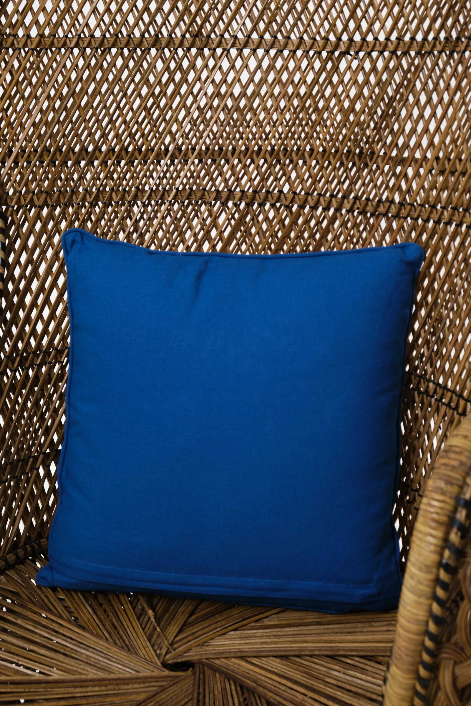 Blue Embroidered Tiger Cushion - Image 3