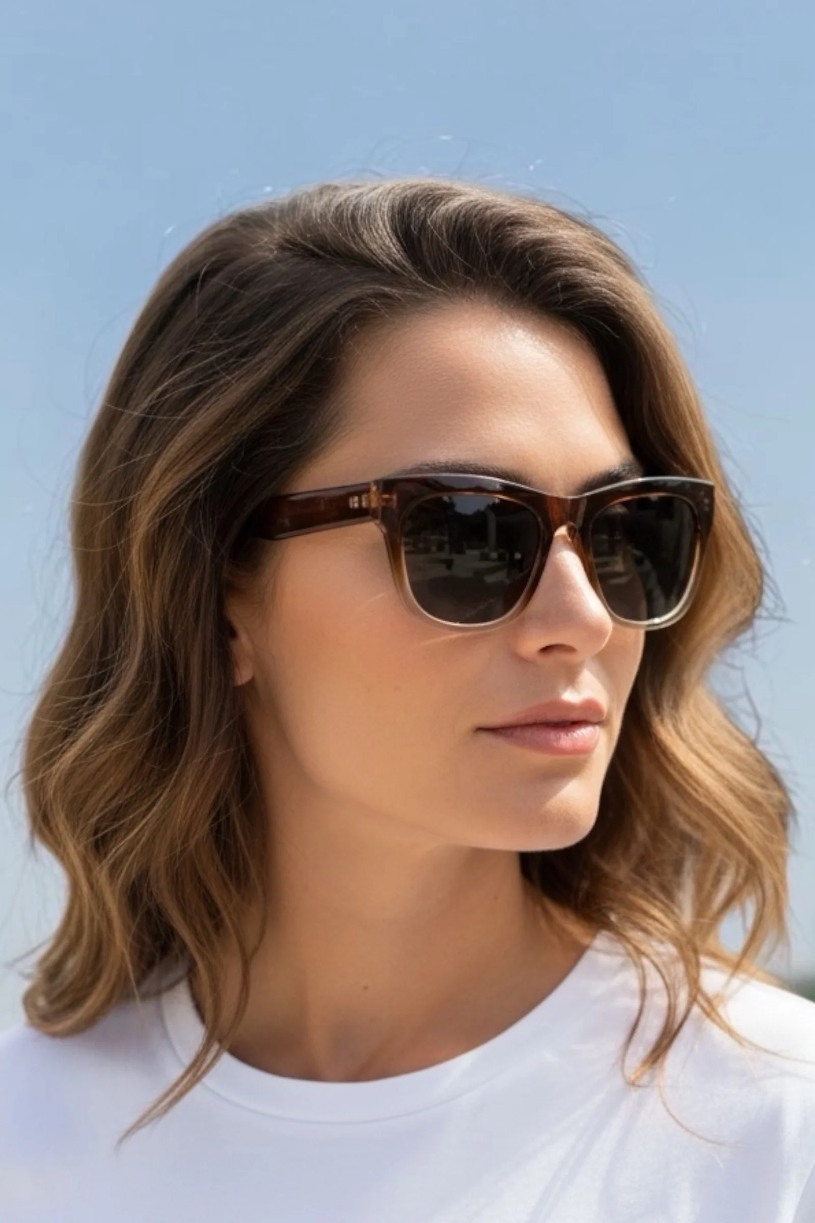 Bro Ombré Frame Brown Sunglasses - Image 6