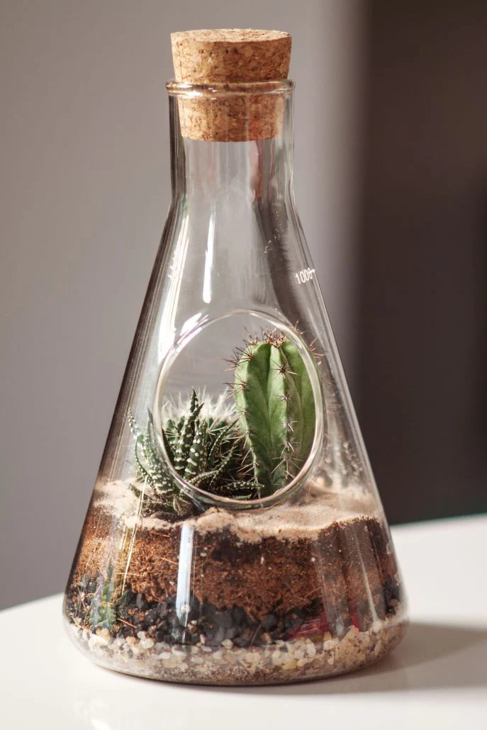 Chemistry Terrarium Kit - Image 3
