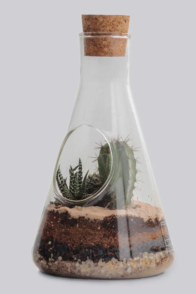 Chemistry Terrarium Kit - Image 4
