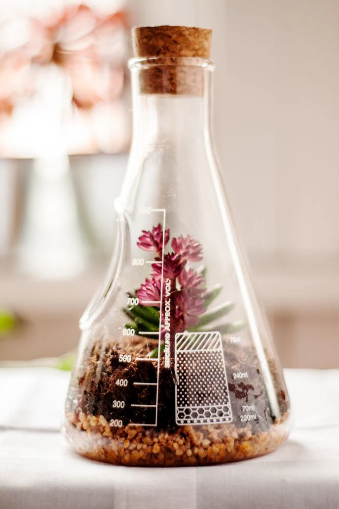 Chemistry Terrarium Kit - Image 7