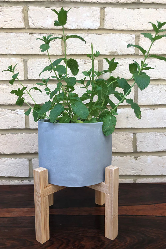 Concrete Planter On Wooden Stand 19X17cm