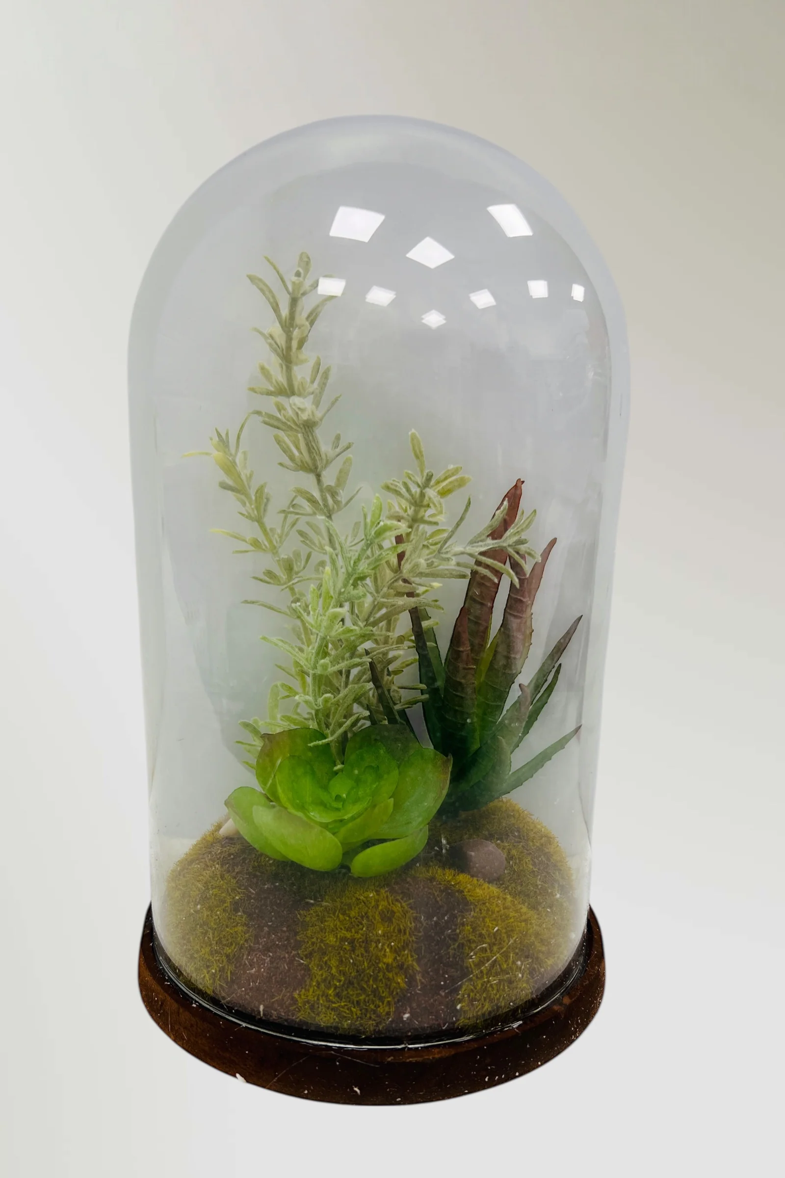 Glass Dome With Faux Succulents - Image 3