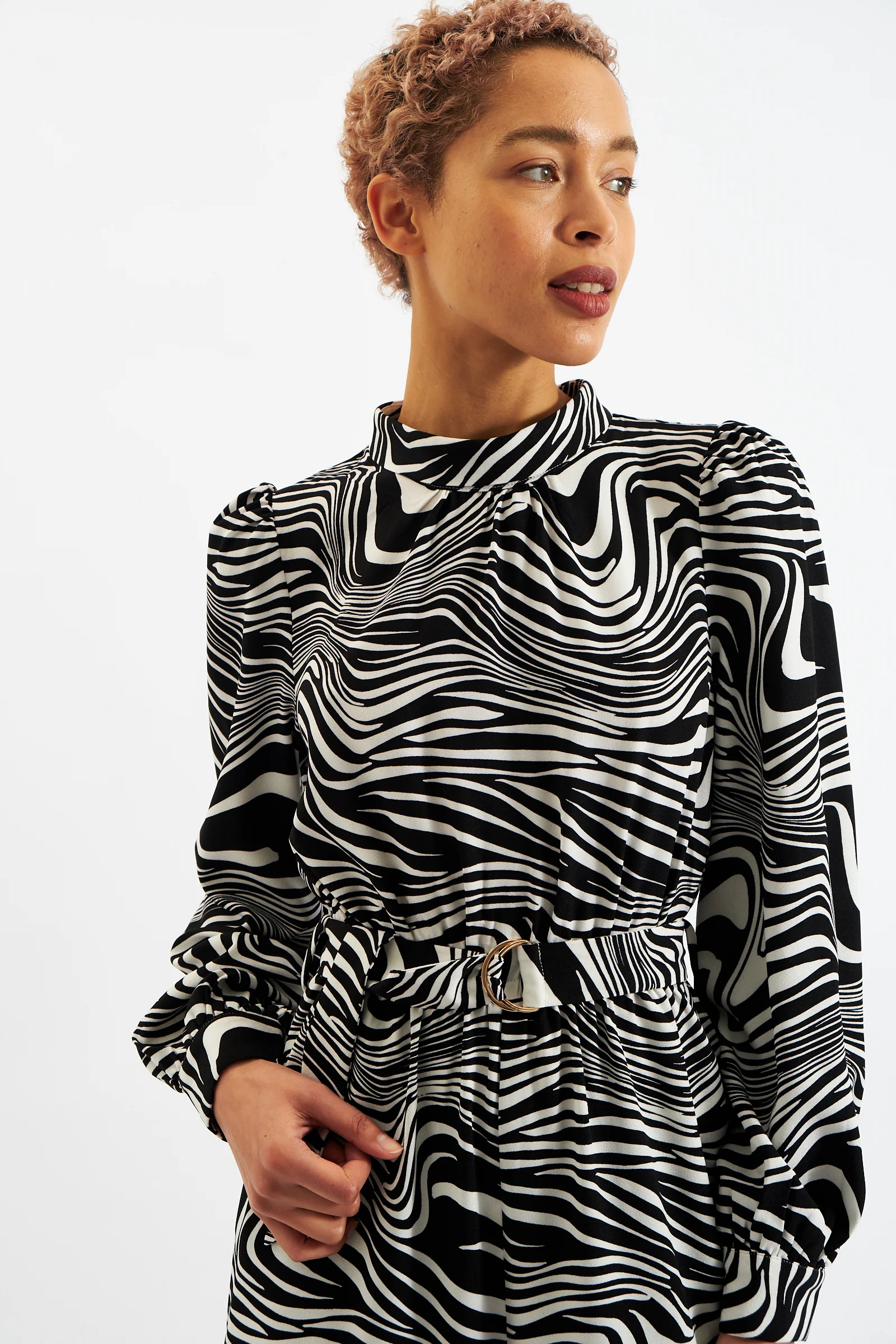 Gayane Zebra Pop Print Long Sleeve Jumpsuit - Black and White - Image 3