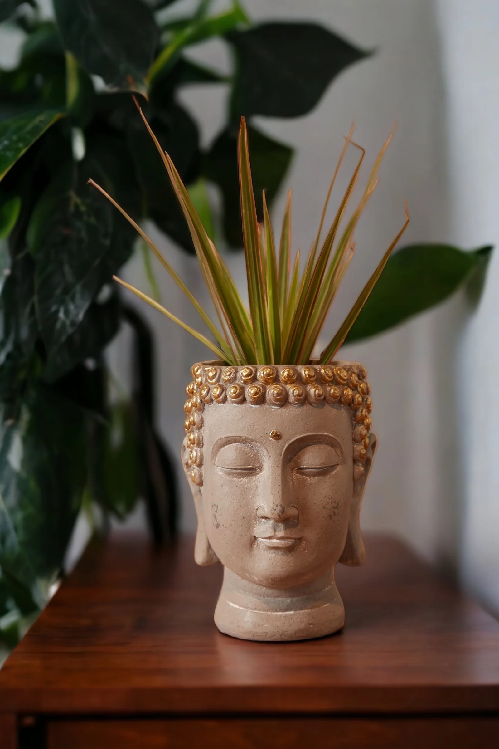 Gold Decorated Buddha Head Planter - Image 7