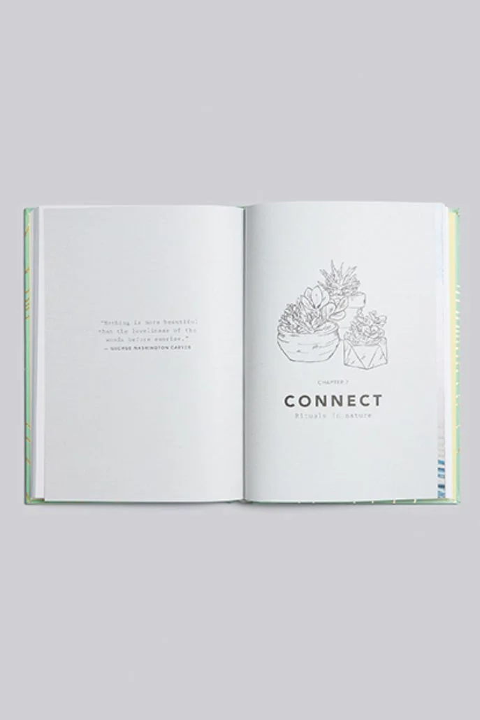 Good Morning Rituals - Image 3