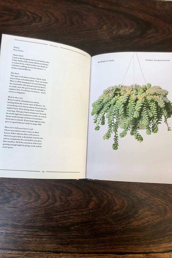 How Not To Kill Your Plants - Image 2
