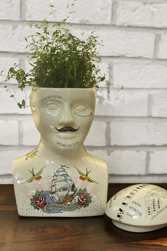 Large Phrenology Head - Image 2
