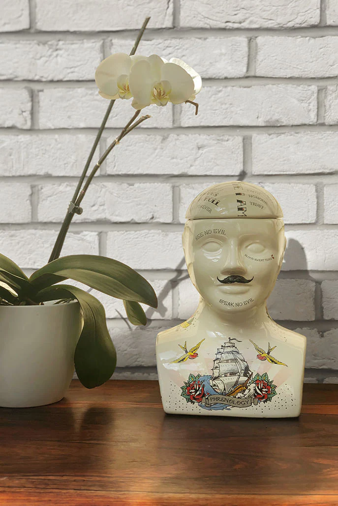 Large Phrenology Head - Image 3