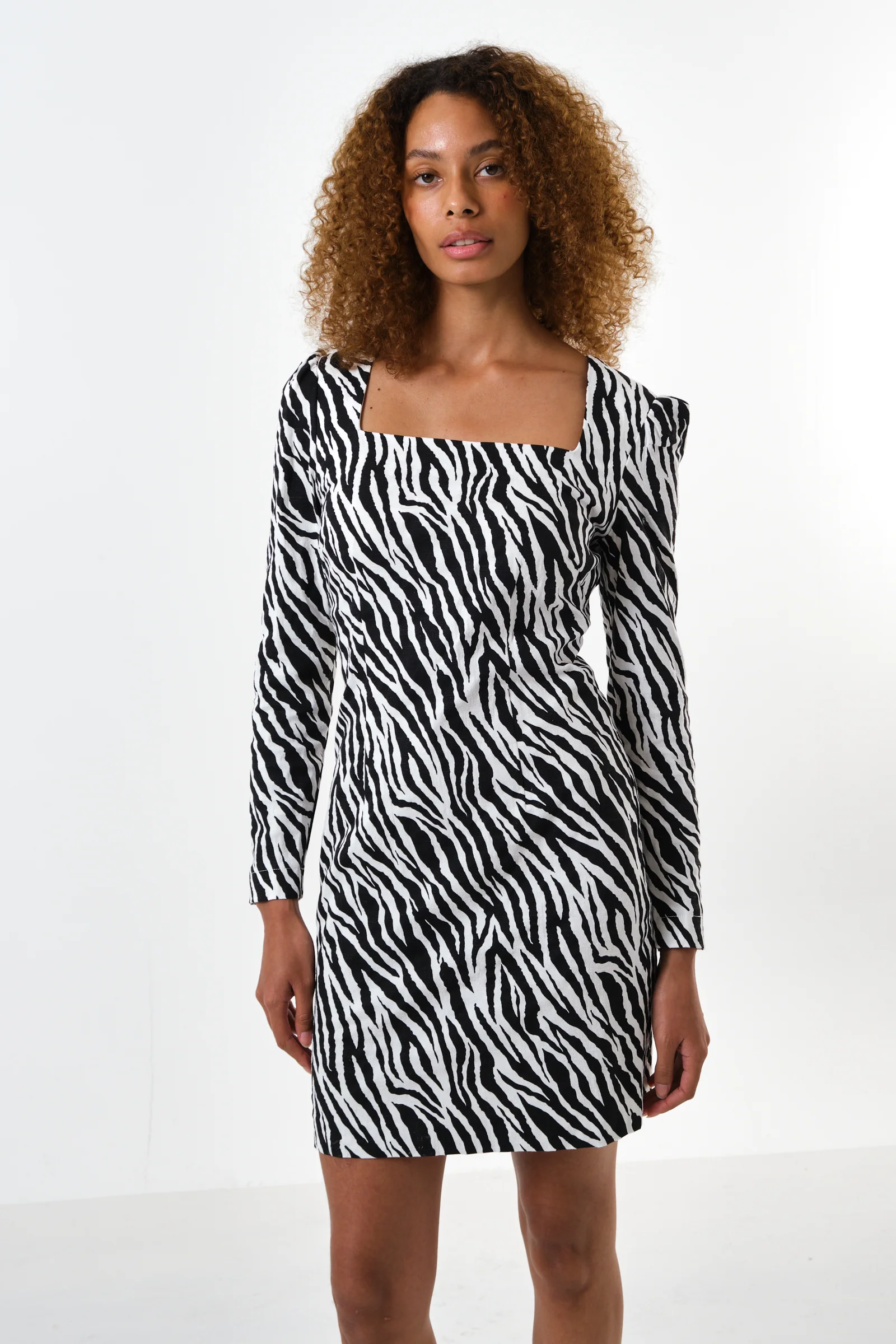 Anala Zebra Print Square Neck Long Sleeve Mini Dress - Image 3