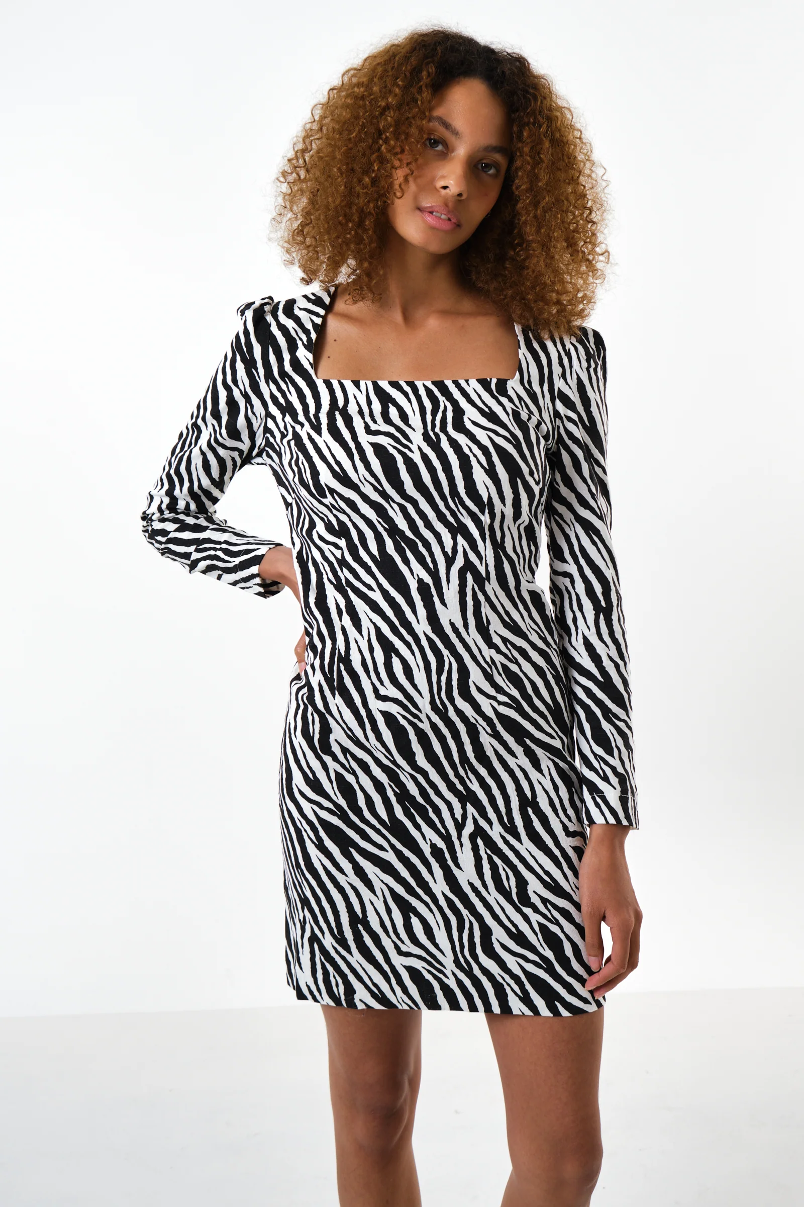 Anala Zebra Print Square Neck Long Sleeve Mini Dress - Image 5
