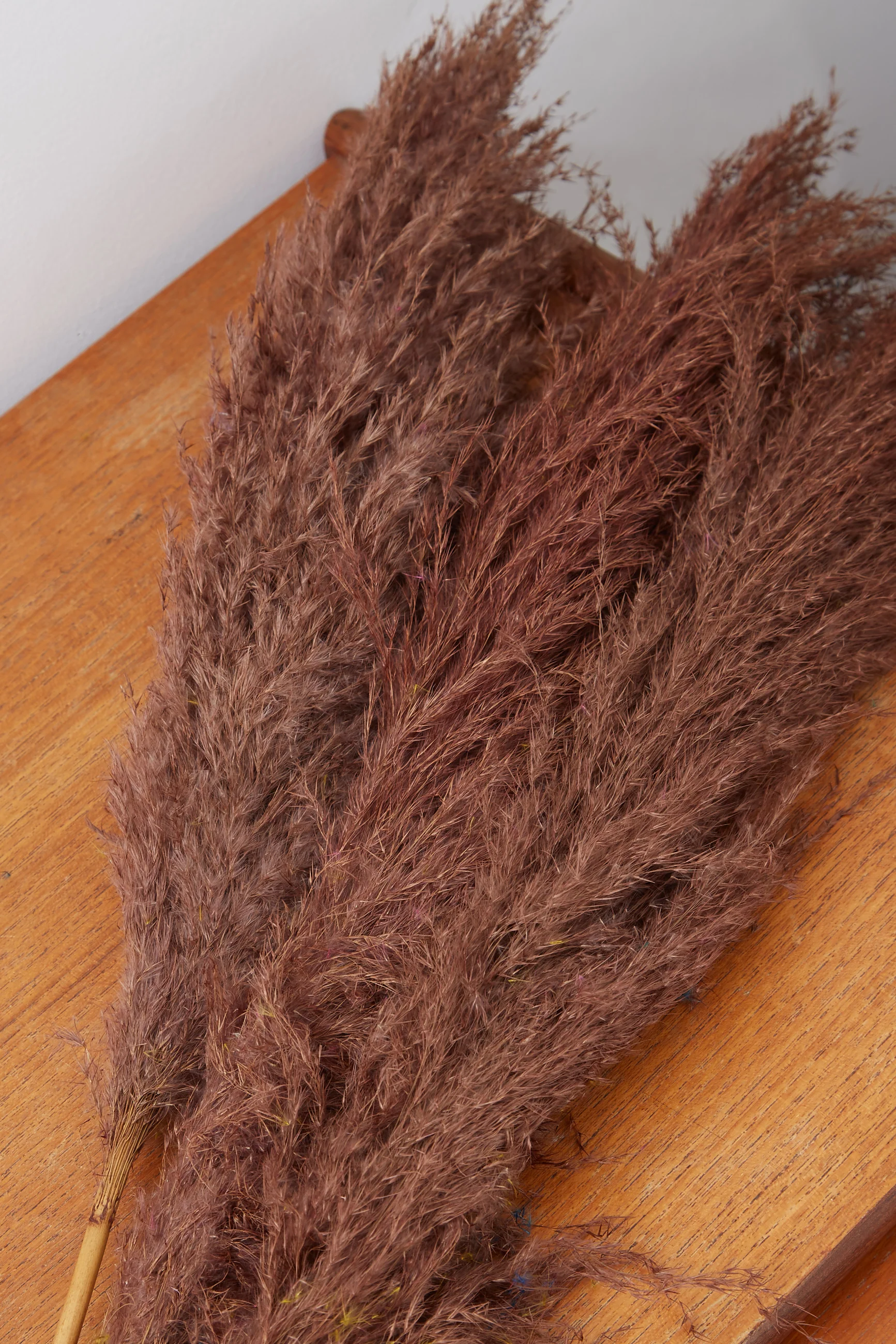 3 Stems of Chocolate Dried Pampas Grass - Image 2