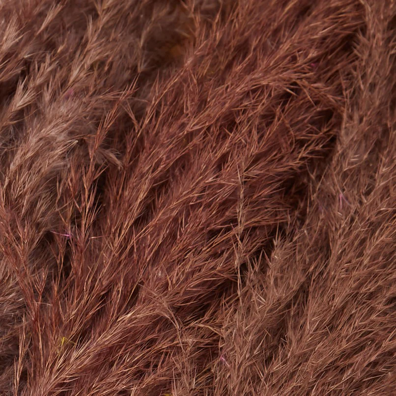 3 Stems of Chocolate Dried Pampas Grass - Image 5