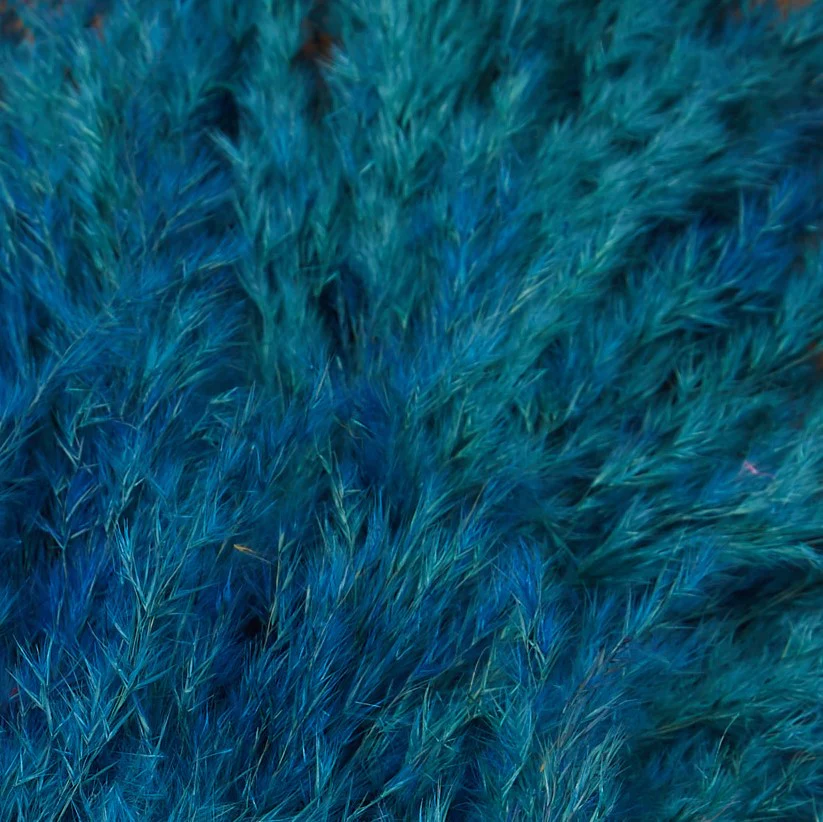 3 Stems of Petrol Dried Pampas Grass - Image 5