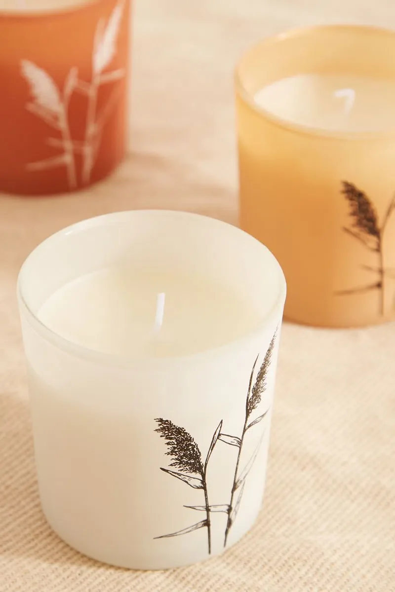 Set Of 3 Pampas Grass Candles - Image 4