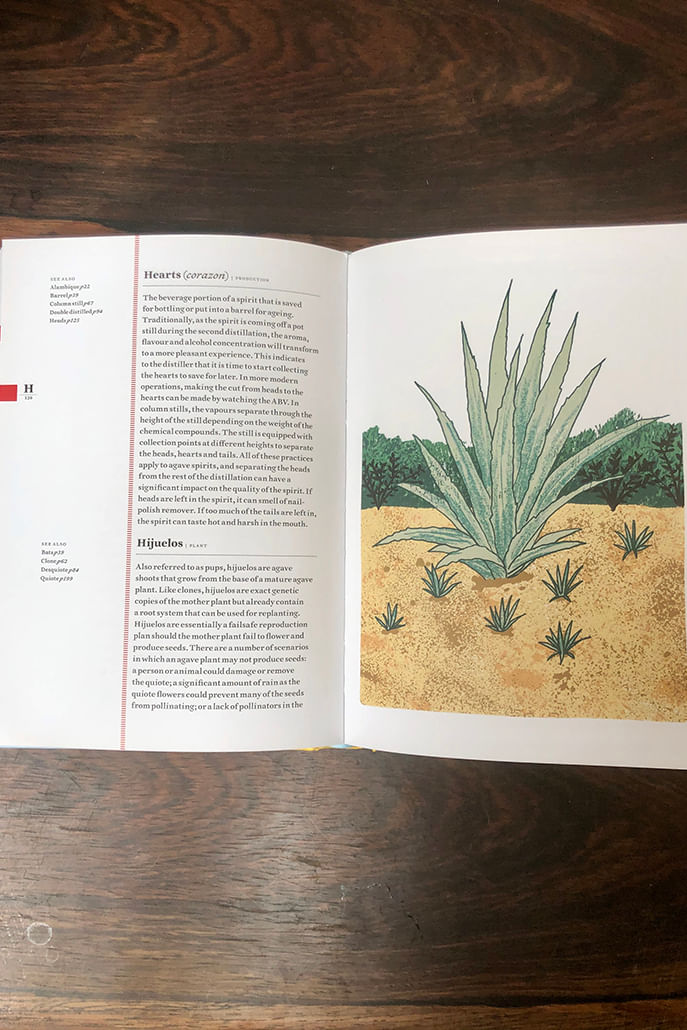 The Tequila Dictionary - Image 2