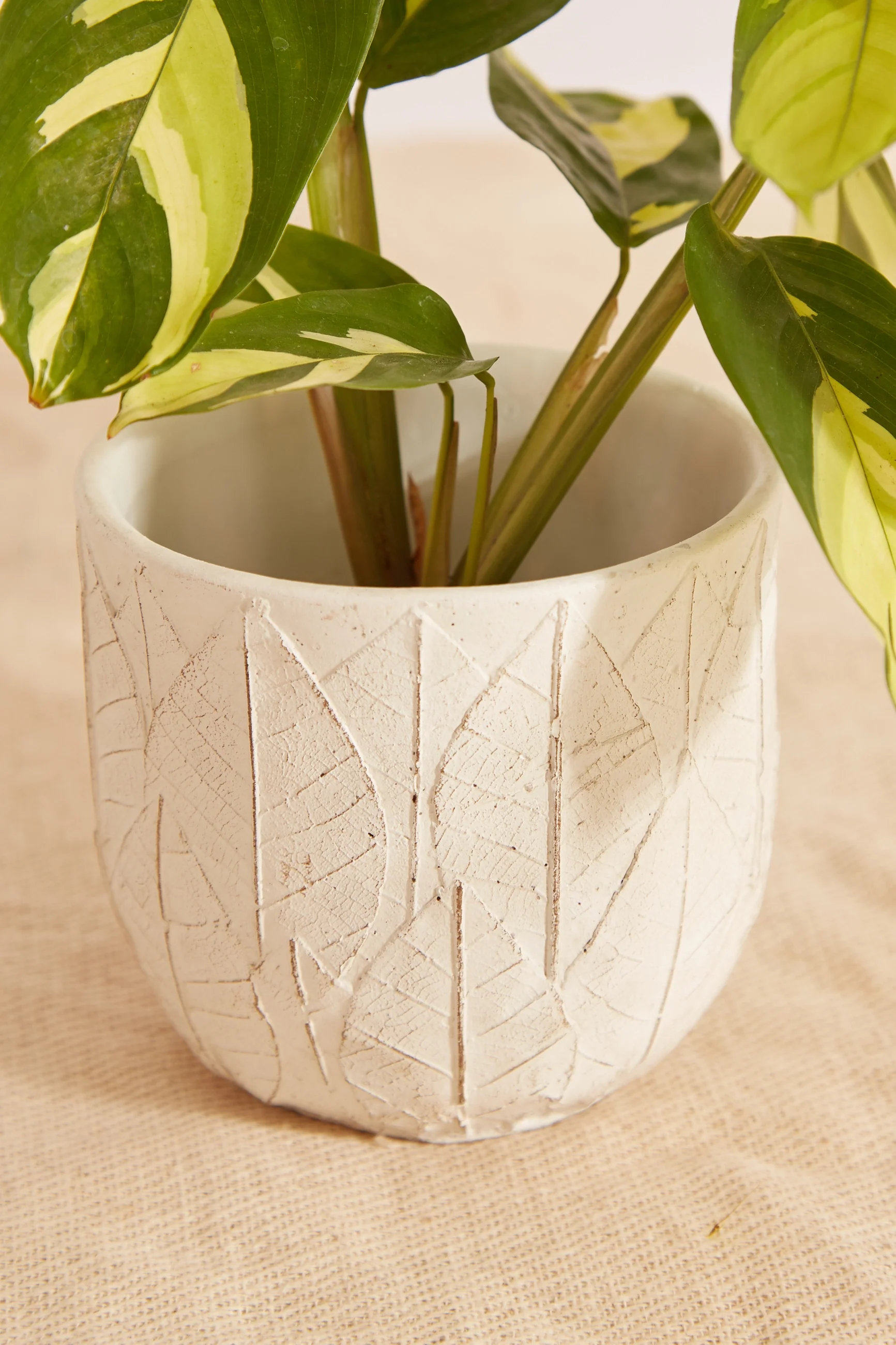 White Embossed Leaf Planter - Image 3
