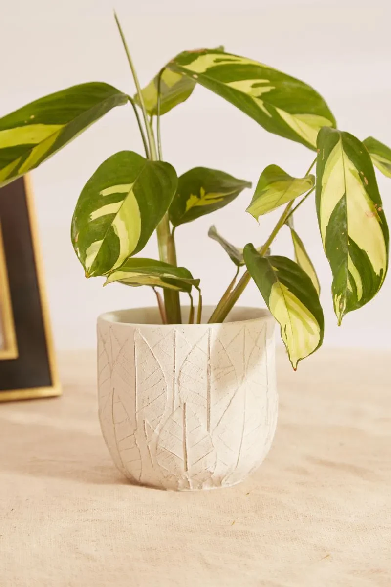 White Embossed Leaf Planter - Image 4